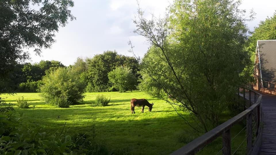 La Petite Motte Villa Ceton Bagian luar foto